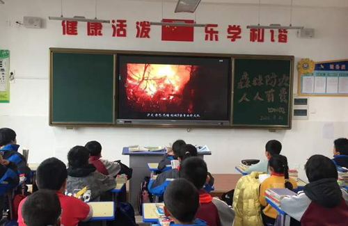朔州市七小开展森林防火安全主题班会教育活动
