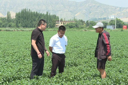 朔城区:回村,当新农民